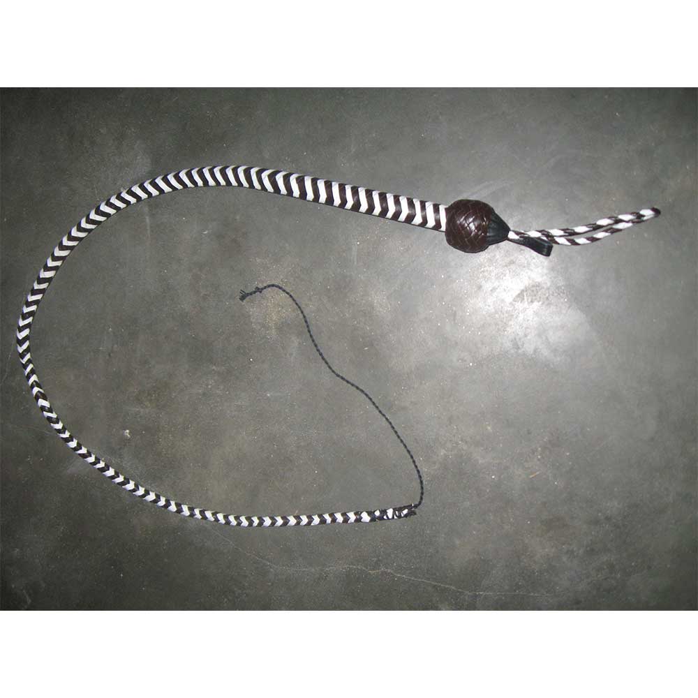 Leather Whip